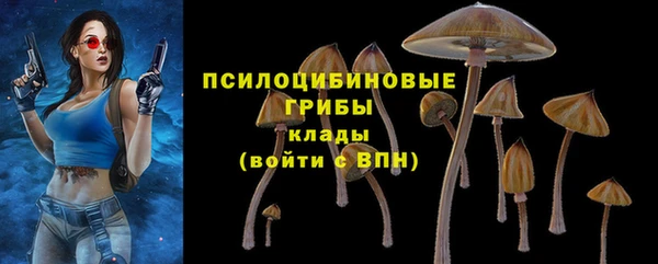 гашик Абинск