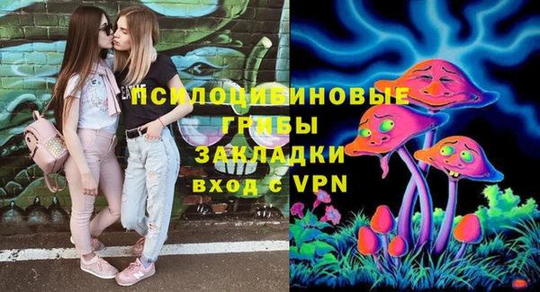 стаф Абдулино