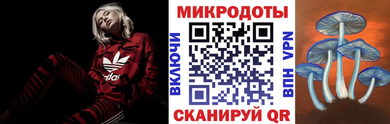 Псилоцибиновые грибы Psilocybe  Задонск 